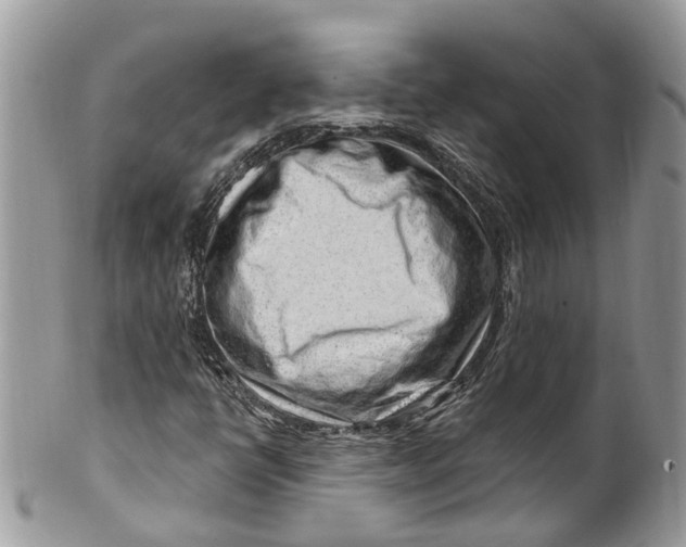 X0000099521398200806051200