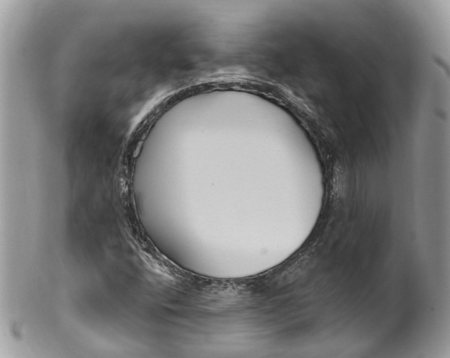 X0000099521400200806051200