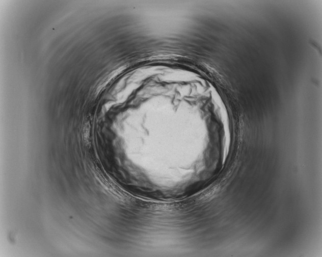 X0000099521401200806051200