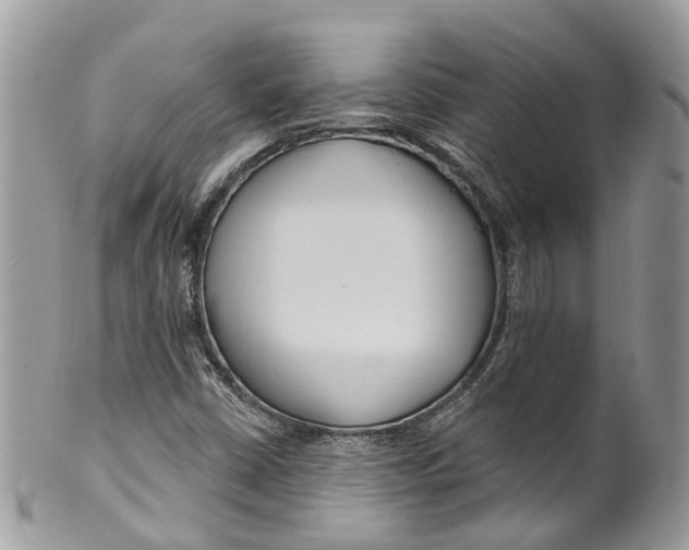 X0000099521402200806051200