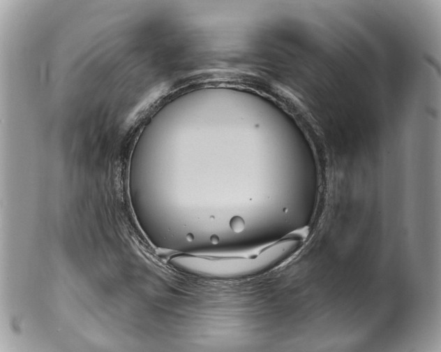 X0000099521403200806051200