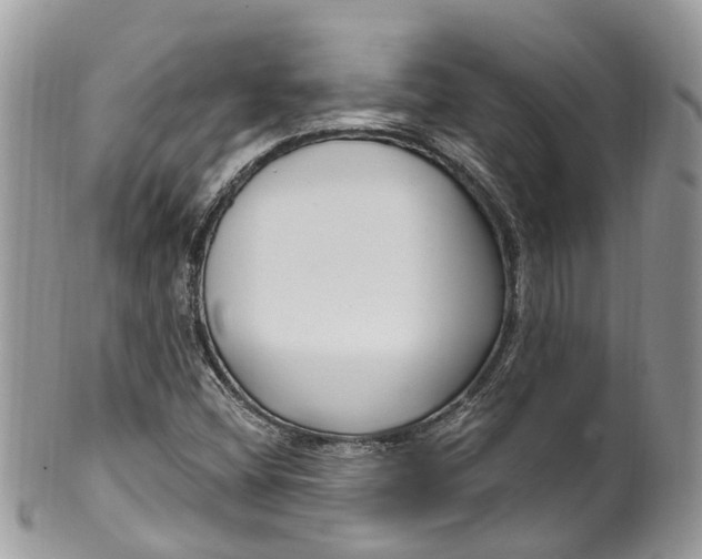 X0000099521404200806051200