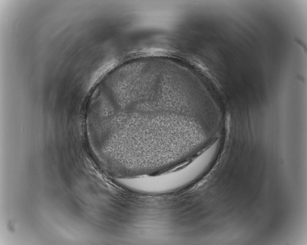 X0000099521405200806051200