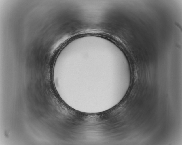 X0000099521406200806051200