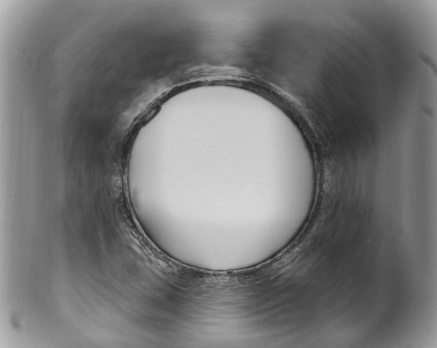 X0000099521407200806051200