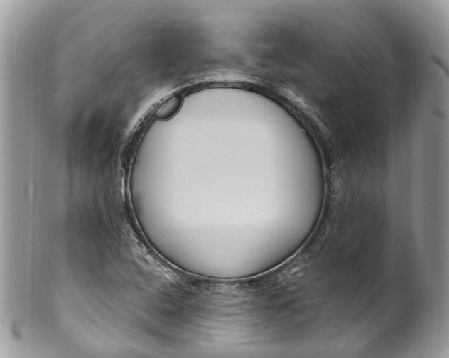 X0000099521408200806051200