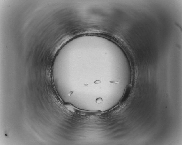 X0000099521409200806051200