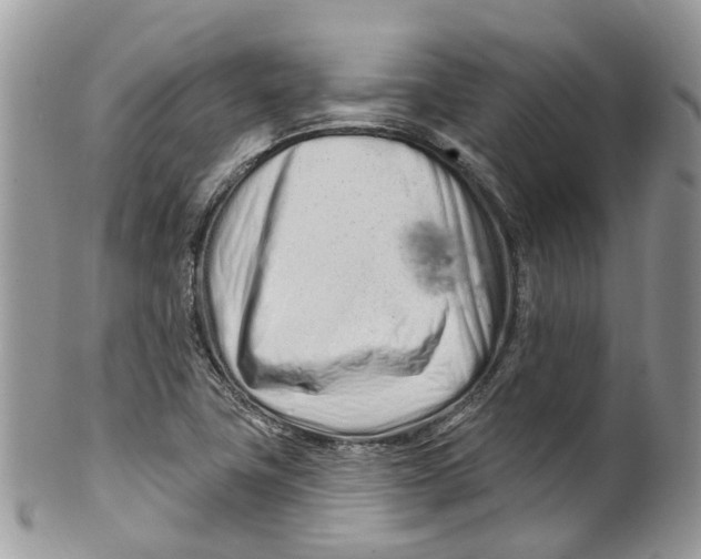 X0000099521411200806051200