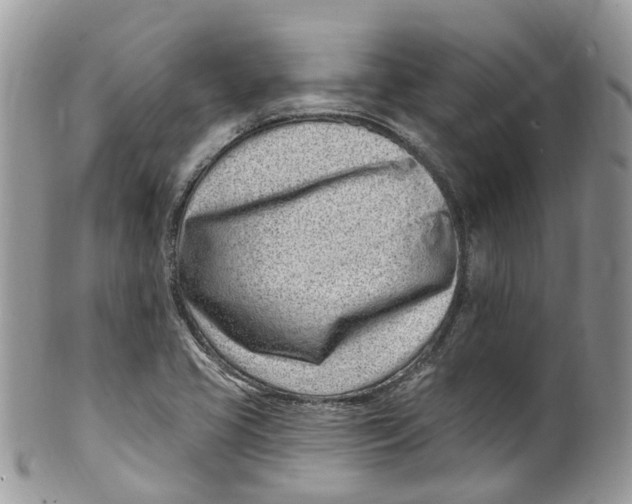 X0000099521413200806051200