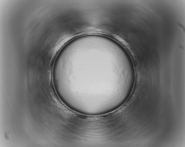 X0000099521415200806051200