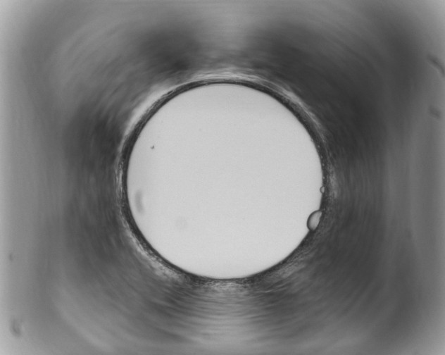 X0000099521416200806051200