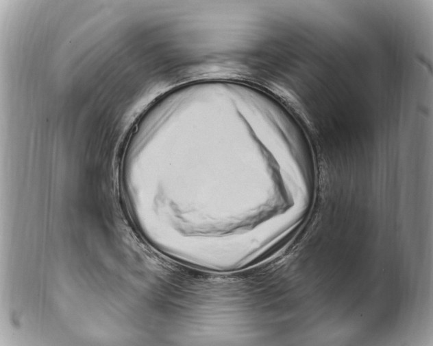 X0000099521419200806051200