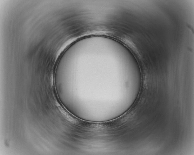 X0000099521420200806051200