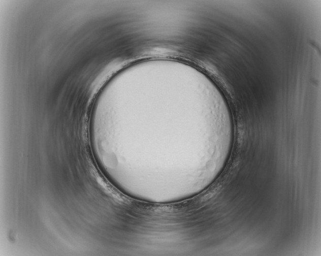 X0000099521421200806051200