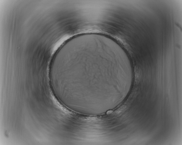 X0000099521422200806051200