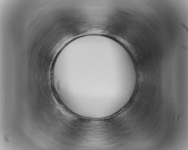 X0000099521423200806051200