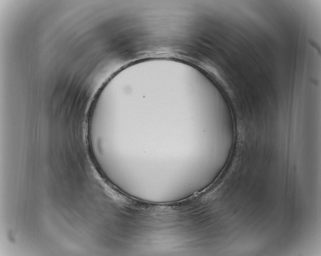 X0000099521424200806051200