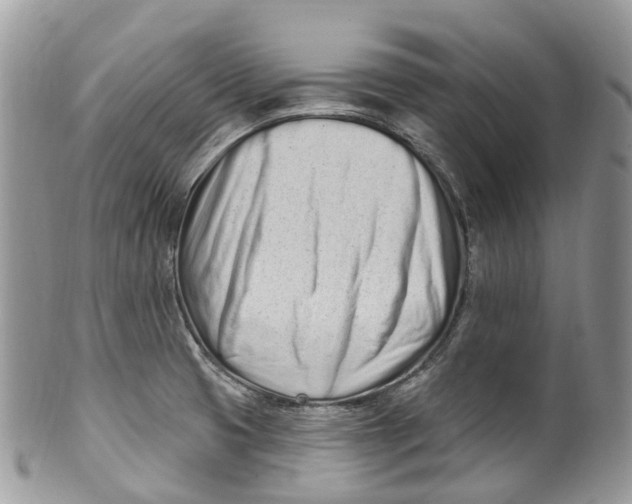 X0000099521425200806051200