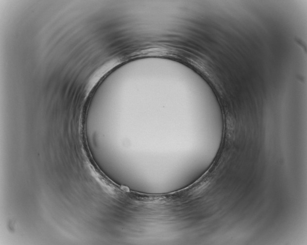 X0000099521426200806051200