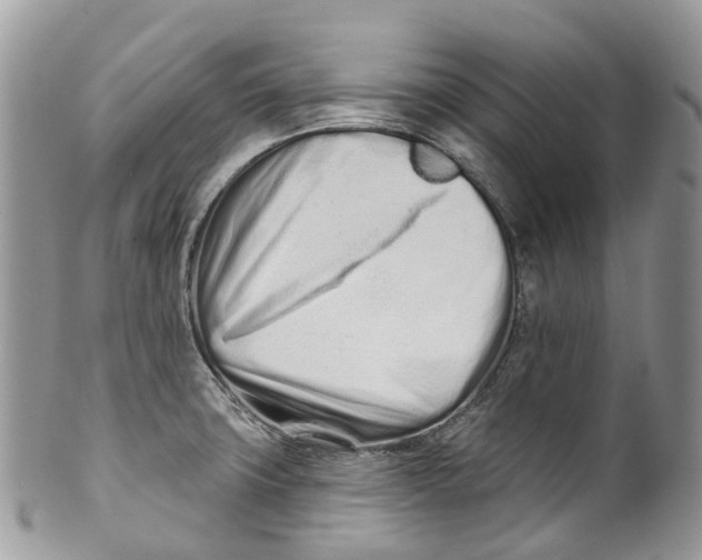 X0000099521427200806051200