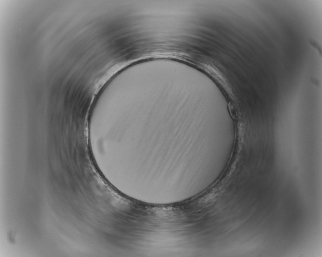 X0000099521428200806051200