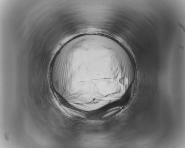 X0000099521429200806051200