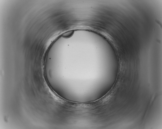 X0000099521430200806051200