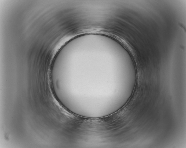 X0000099521432200806051200