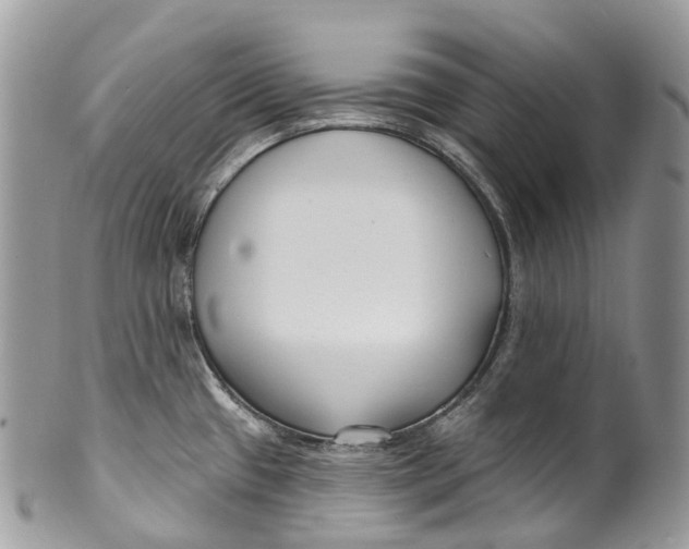 X0000099521433200806051200