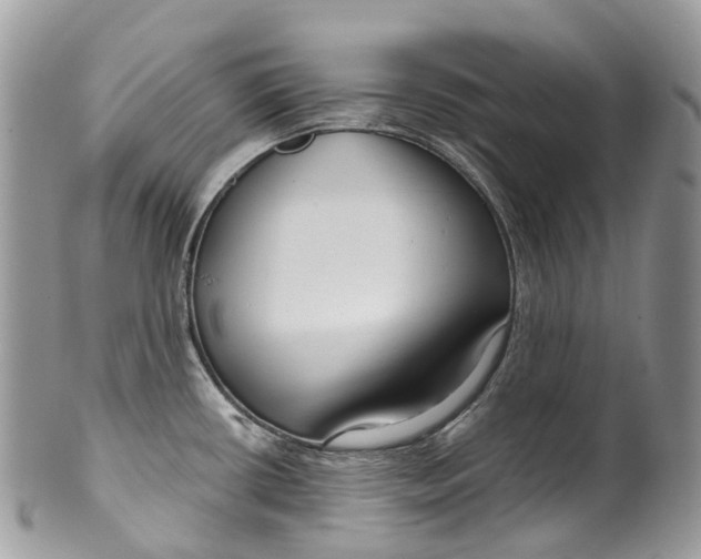 X0000099521434200806051200