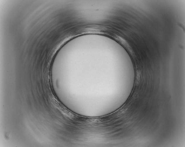 X0000099521435200806051200