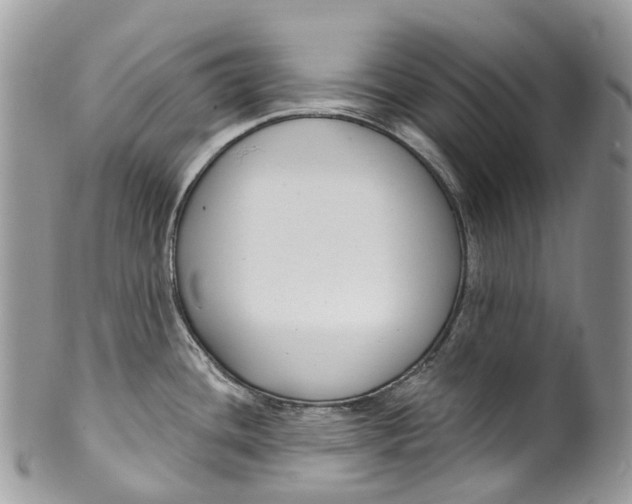 X0000099521436200806051200