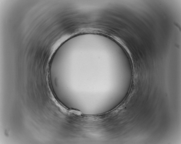 X0000099521437200806051200