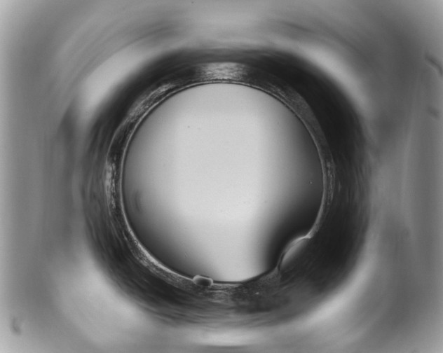 X0000099521438200806051200