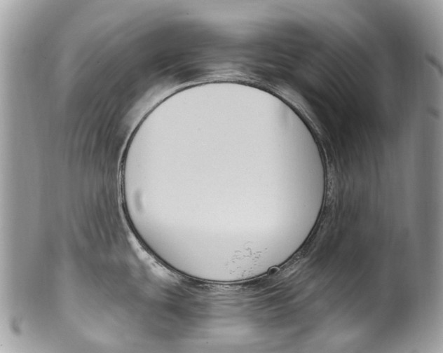 X0000099521439200806051200