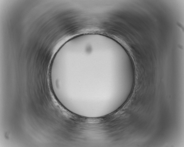 X0000099521440200806051200