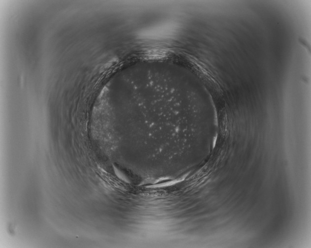 X0000099521441200806051159