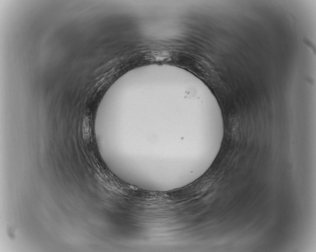 X0000099521442200806051159