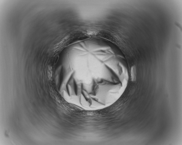 X0000099521443200806051159