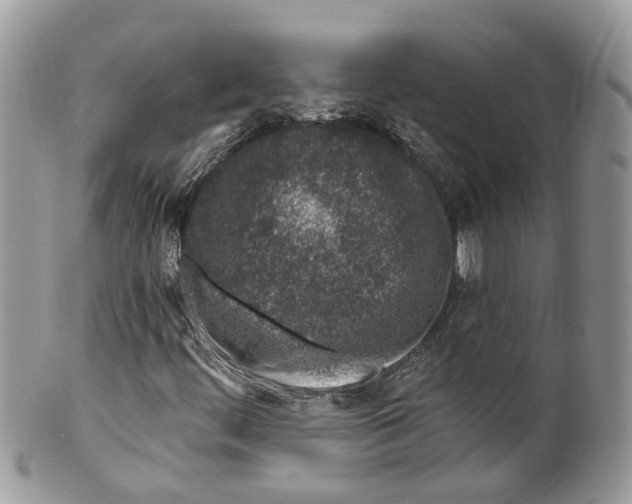 X0000099521444200806051159