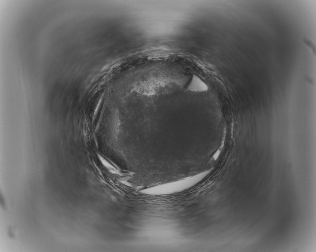 X0000099521445200806051159