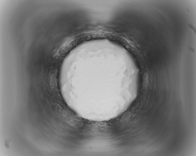 X0000099521446200806051159