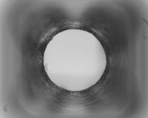 X0000099521447200806051159