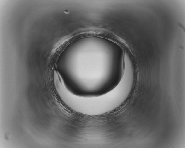 X0000099521448200806051159