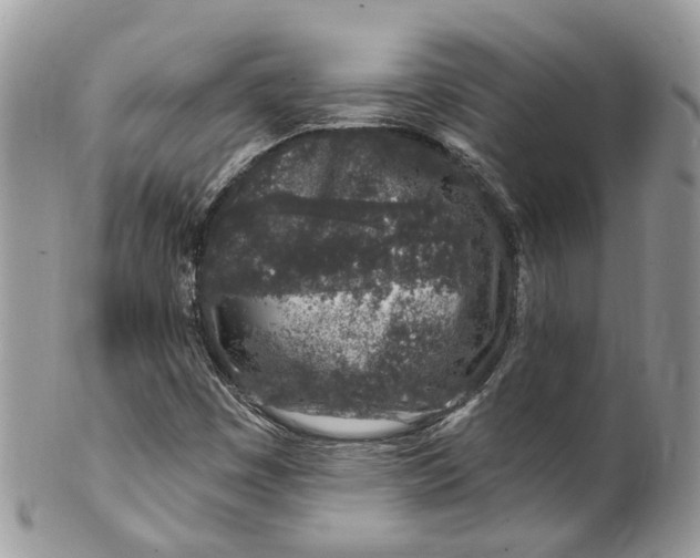 X0000099521449200806051159