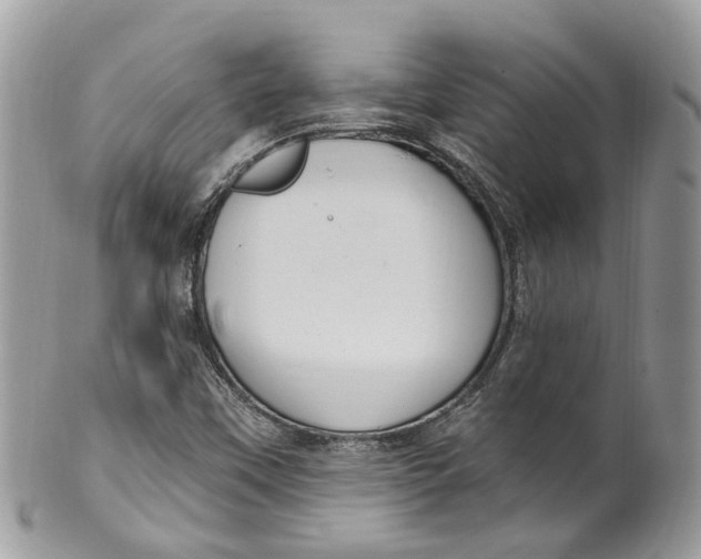 X0000099521451200806051159