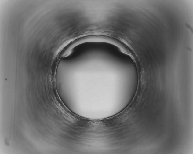 X0000099521452200806051159