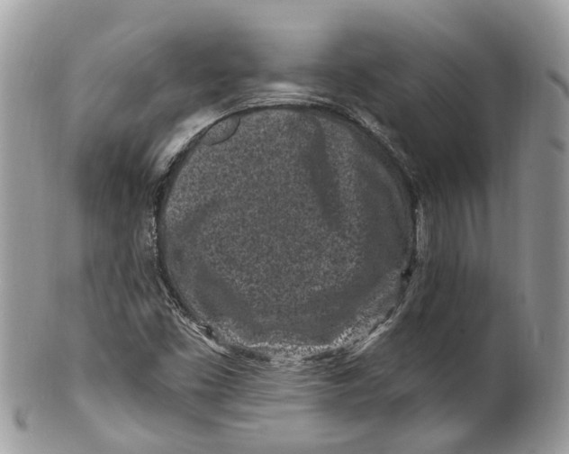 X0000099521453200806051159