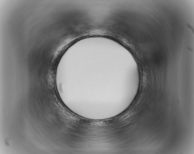 X0000099521454200806051159