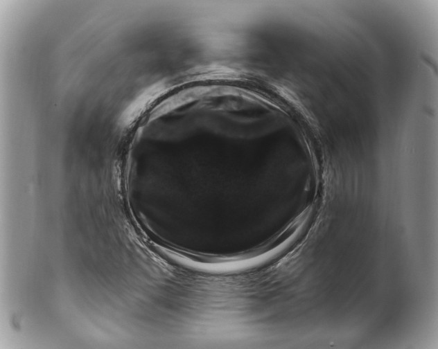 X0000099521455200806051159